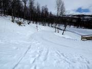 Trail in Hemavan