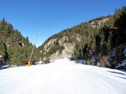 Comabella slope