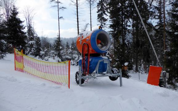 Snow reliability Western Beskids – Snow reliability Szczyrk Mountain Resort