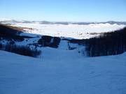 Piste Panalj