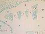 Trail map Red Hill – Moultonborough