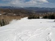 Easy slope Scooper