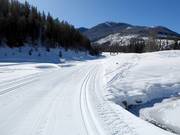 Cross-country trails at Panorama Mountain Village