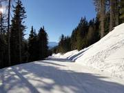 Adventure run