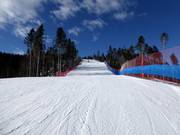 Easy slope Vezzena