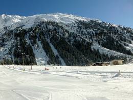 Mandarfen
