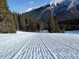 Mt. Norquay – Banff