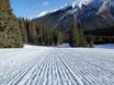 Slope preparation Alberta – Slope preparation Mt. Norquay – Banff