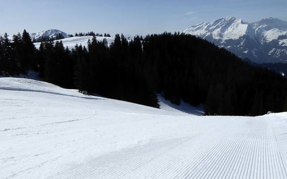 Slope preparation Prättigau – Slope preparation Grüsch Danusa