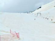 Cristallo slope