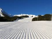 Very good slope grooming