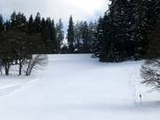 Family slope