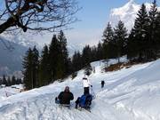 Toboggan run to Grindelwald