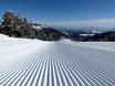 Slope preparation Southeastern Europe (Balkans) – Slope preparation Kopaonik