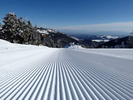 Slope preparation Dinaric Alps – Slope preparation Kopaonik