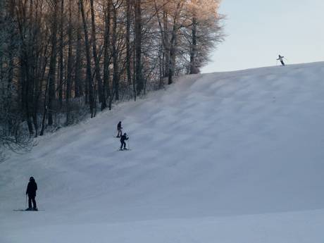 Ski resorts for advanced skiers and freeriding Swabian Jura (Schwäbische Alb) – Advanced skiers, freeriders Hirtenteich – Essingen-Lauterburg/Aalen