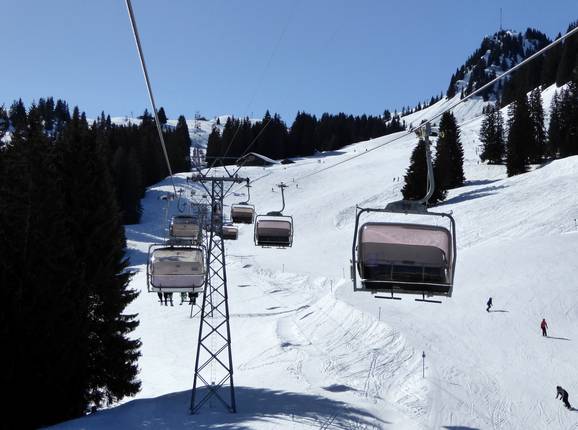 Saanenwald-Hornberg
