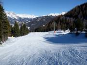 Wide slope Zirm at Bernhard Glück