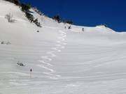 Detour into the deep snow