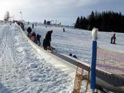 Combination toboggan magic carpet