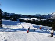 Slope No. 4 Edtalm