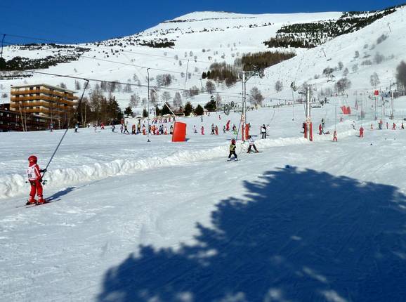 Petit Bosquet