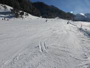 Easy, wide Schneeflucht run