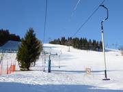 Irenka (G4) - J-bar