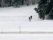 Snowpark Greising