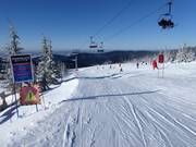 Funtrack Medvědín