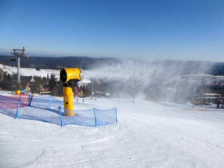 Snow reliability Sudetes (Sudety) – Snow reliability Zieleniec