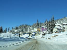 SilverStar