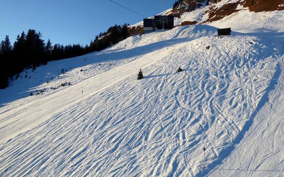 Ski resorts for advanced skiers and freeriding Lechtal – Advanced skiers, freeriders Jöchelspitze – Bach
