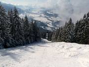 Waizer downhill run