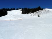 Easy Weiherkopf Run