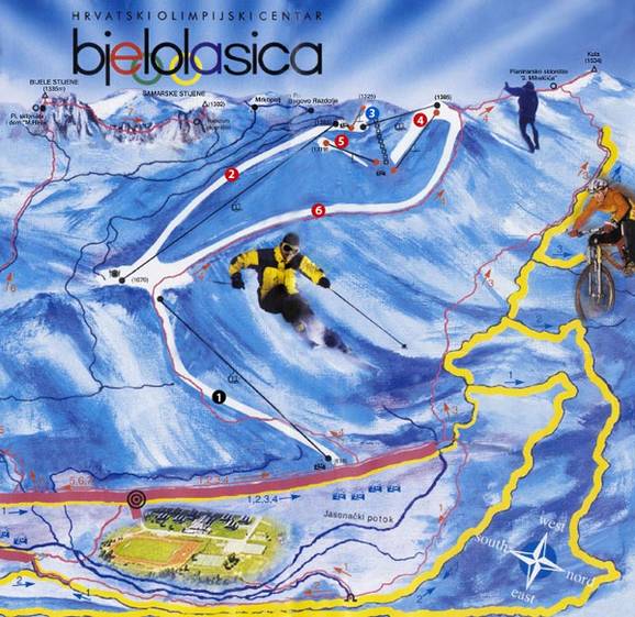 Bjelolasica