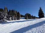 Easy slope Seehof