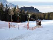 Wald-Lift - T-bar