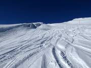 Powder tracks