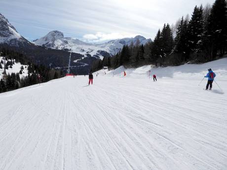 Slope offering Val di Fassa (Fassa Valley/Fassatal) – Slope offering Belvedere/Col Rodella/Ciampac/Buffaure – Canazei/Campitello/Alba/Pozza di Fassa