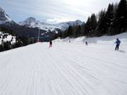 Downhill run 3-Tre
