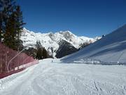 Easy Family Slope 1