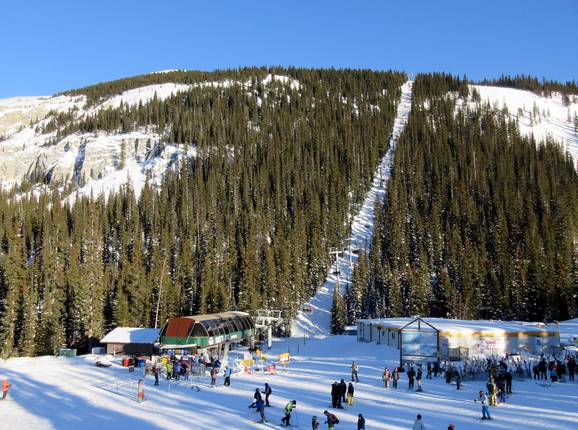Goat's Eye Express