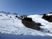 Open ski area between Plitschès and Sesolas