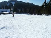 Slope grooming