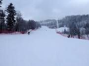 FIS COS slope