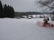 Slope with snow cannon