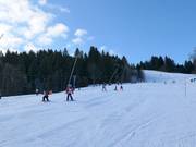 Family Slope