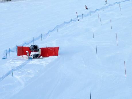 Snow reliability Paradiski – Snow reliability Les Arcs/Peisey-Vallandry (Paradiski)