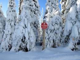 Sun Peaks